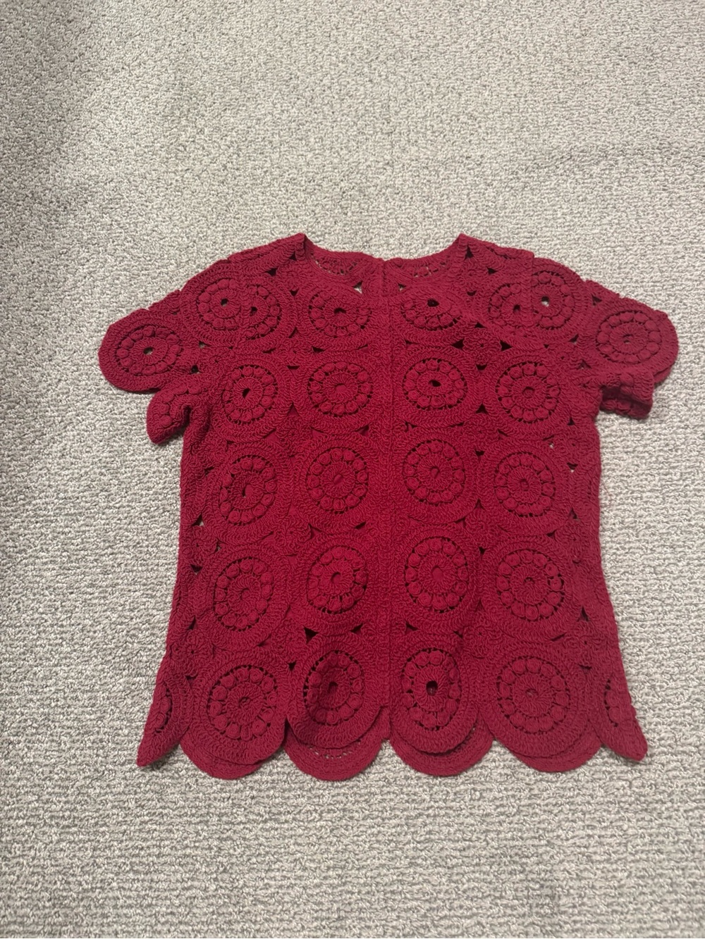 Wonderly Burgundy Crochet Short Sleeve Top
